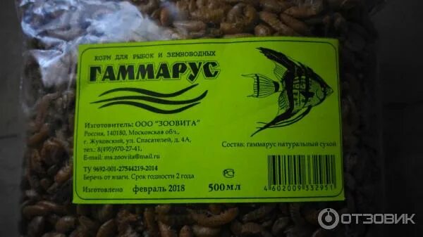 Можно ли кормить гаммарусом. Можно ли кормить гаммарусом