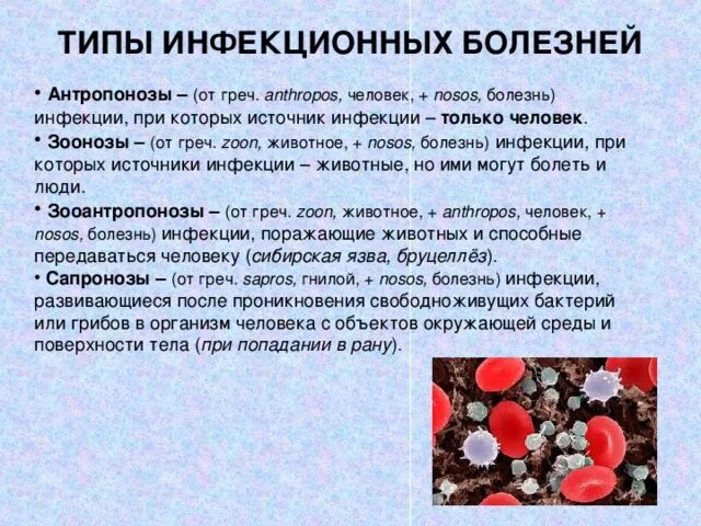 Общие инфекционные болезни животных. Источники заражения инфекционными заболеваниями. источники зоонозных инфекций. инфекционные заболевания и источники заболевания.