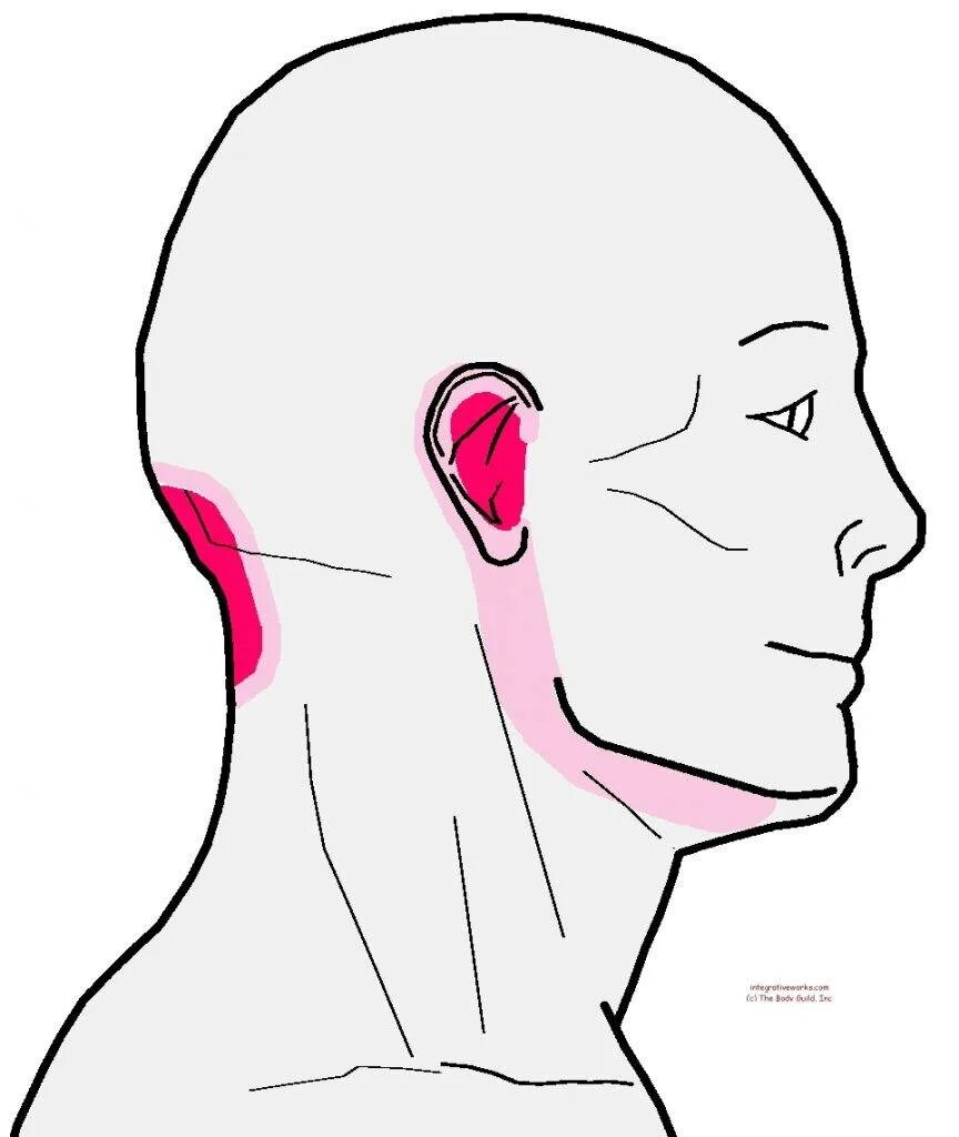 Сторона затылок. Триггерные точки затылочного нерва. Болит темечко головы мигрень. Затолк болит. Боль в голове с затылочной стороны.