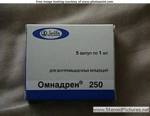 Омнадрен 250 в аптеке. Омнадрен 250. Боди Хантер омнадрен 250. Омнадрен 250 мг. Тестостерон омнадрен.