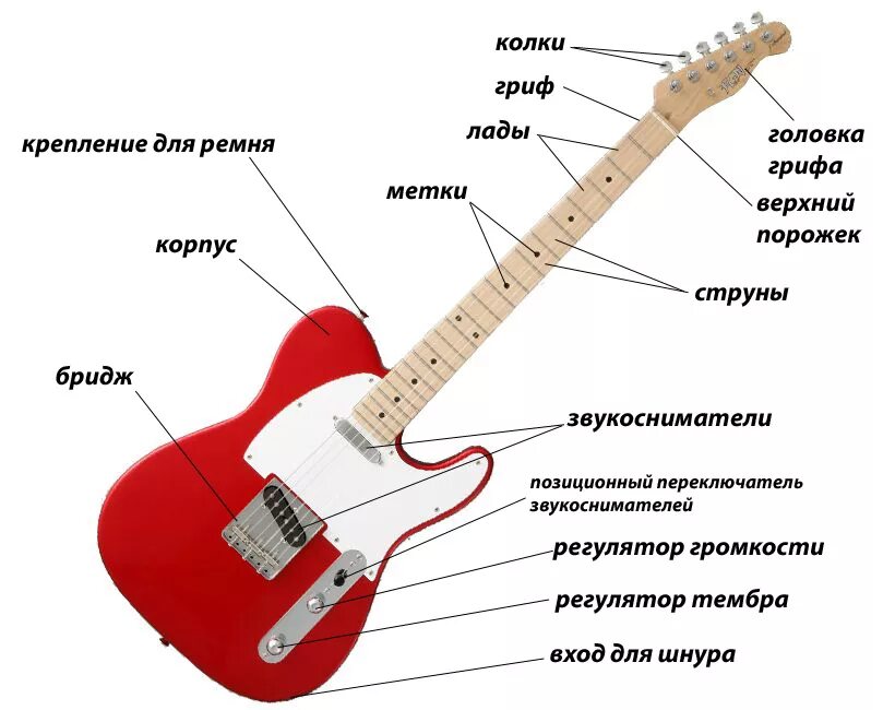 Зачем электрогитара. Из чего состоит гитара электро схема. Строение гитары электрической. Название частей гитары электро. Строение электрогитары стратокастер.