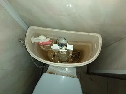 Туалетные внутренности
