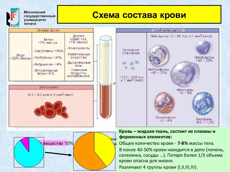 Функция плазмы крови человека. Кровь плазма форменные элементы плазмы. Схема состав крови форменные элементы. Кровь плазма и форменные элементы крови схема. Состав крови плазма крови форменные элементы.