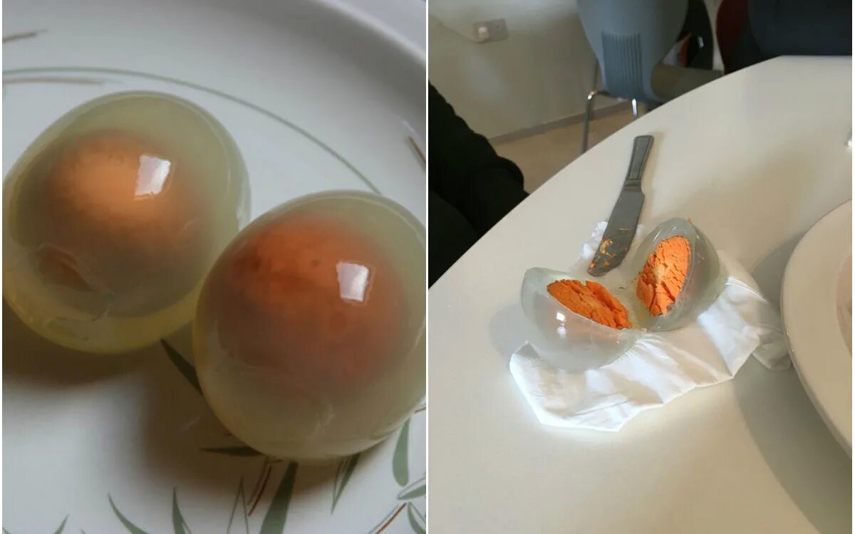 3 яйцо что делать. Пингвиньи яйца вареные. Тухлое яйцо. Яйцо пингвина вареное.