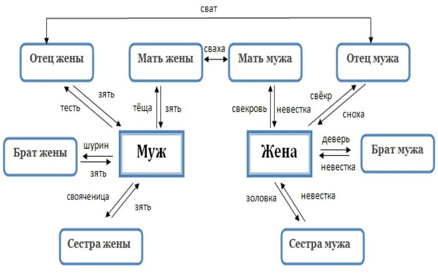 Схема родственных отношений. Родственные связи схема родства. Названия родственников. Кто кому кем приходится. Толстая сестра жены