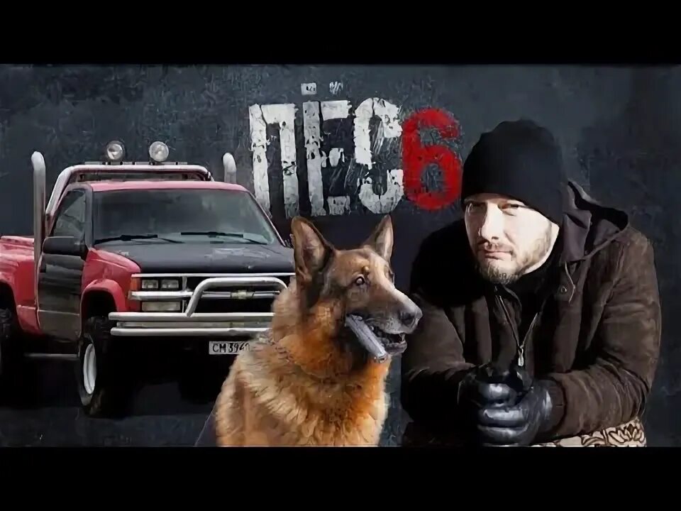 Псе нова. Максим максимов сериал пес. Сериал пёс 3 сезон. Никита панфилов пёс 1 сезон. Никита панфилов в сериале пес.