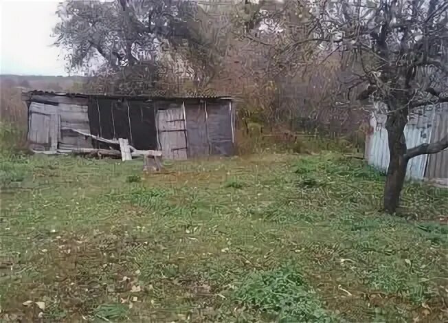 Погода постояновка тимского курской на 10 дней