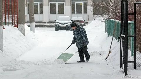 Снегопад школа