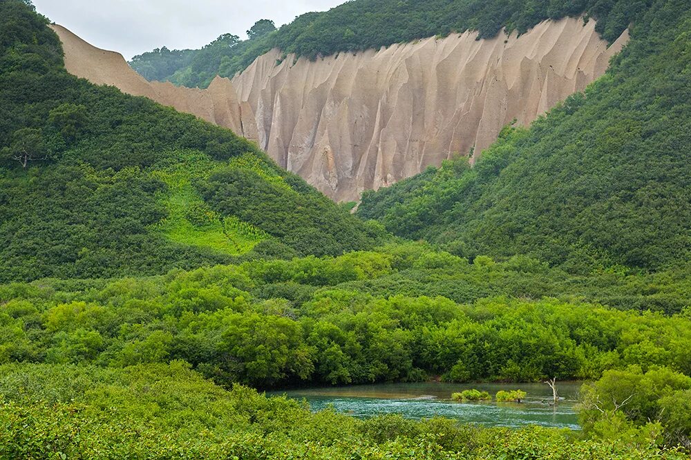 нью-мексико природа кактусы. болото целау калининградской области. нидерланды природа горы на два экрана. нетронутая цивилизация. торфяные топи дартмур.
