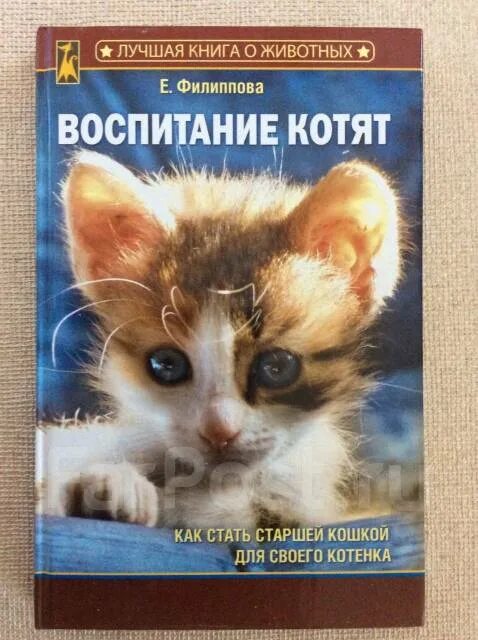 Книги по воспитанию кошек. Книги о воспитании кошек. Книга как воспитать кота. Дневник воспитания котенка 2.