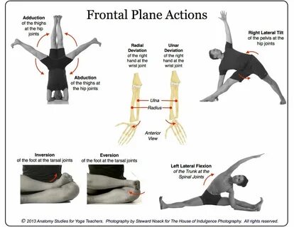 Understand exercise