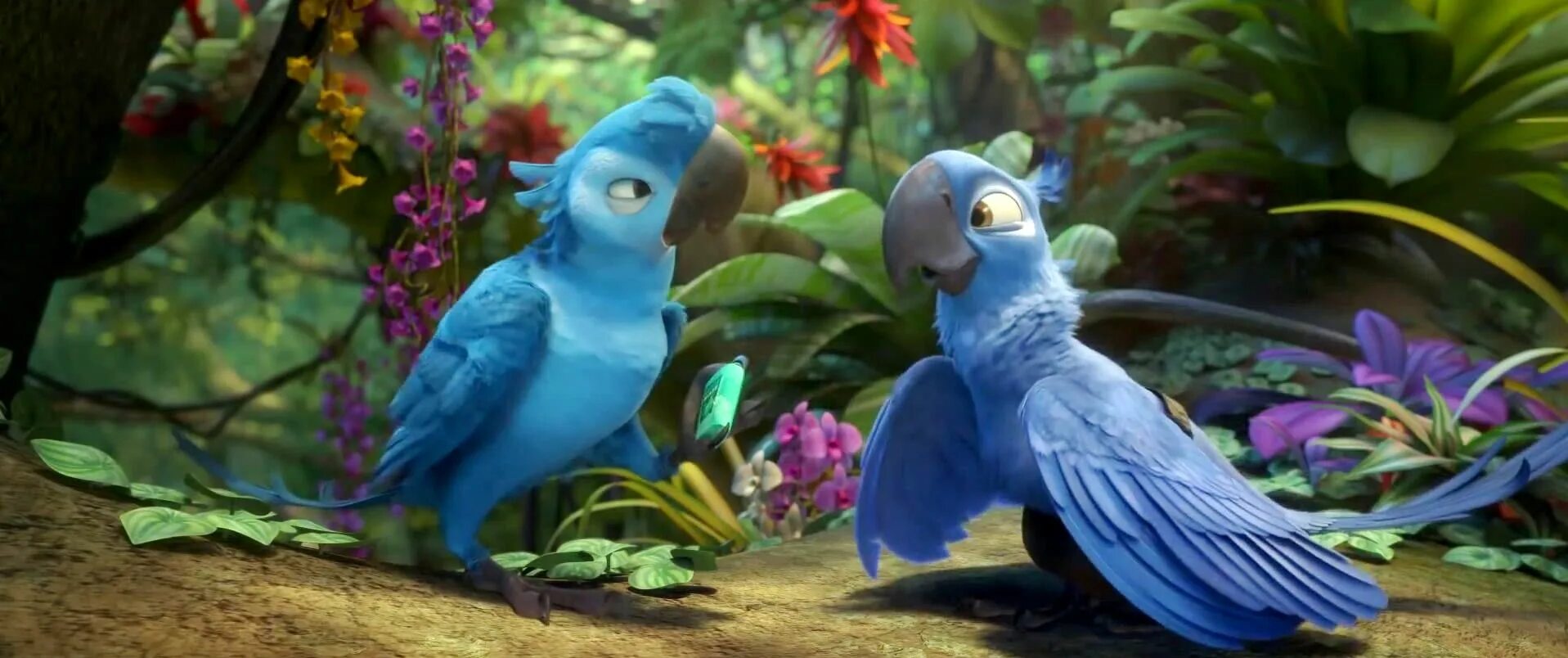 Rio 2. Попугай Рио 2. Рио Блу. Попугай Рио. Rio studio