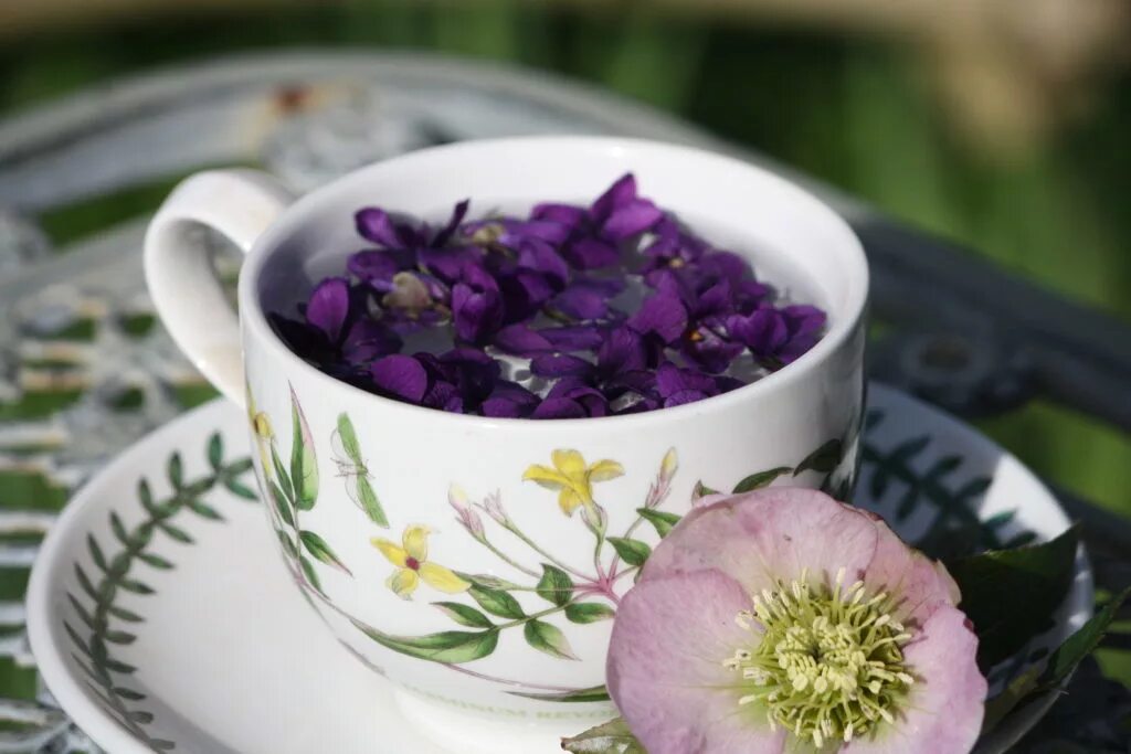 Фиалка трехцветная трава 50г. Фиалки трава красногорсклексредства. Фиалковый чай. Настой фиалки. Малиновый чай.