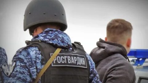 Добровольцы росгвардии законопроект