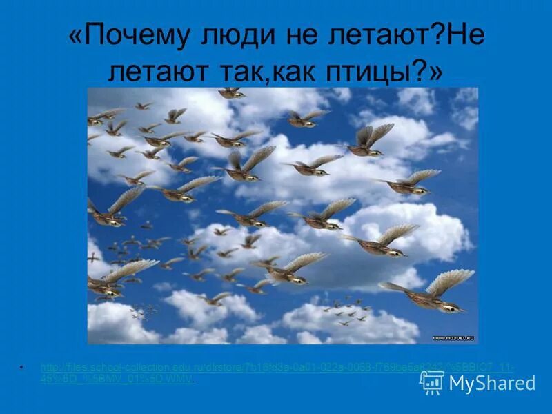 Б отчего люди не летают. Почему птицы летают. почему люди не летают. почему люди летают как птицы?. люди не летают как птицы.