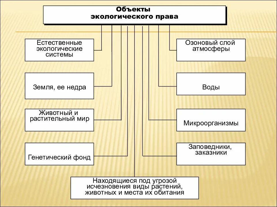 Какие объекты являются в соответствии