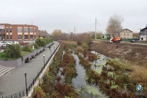 Кура в курске