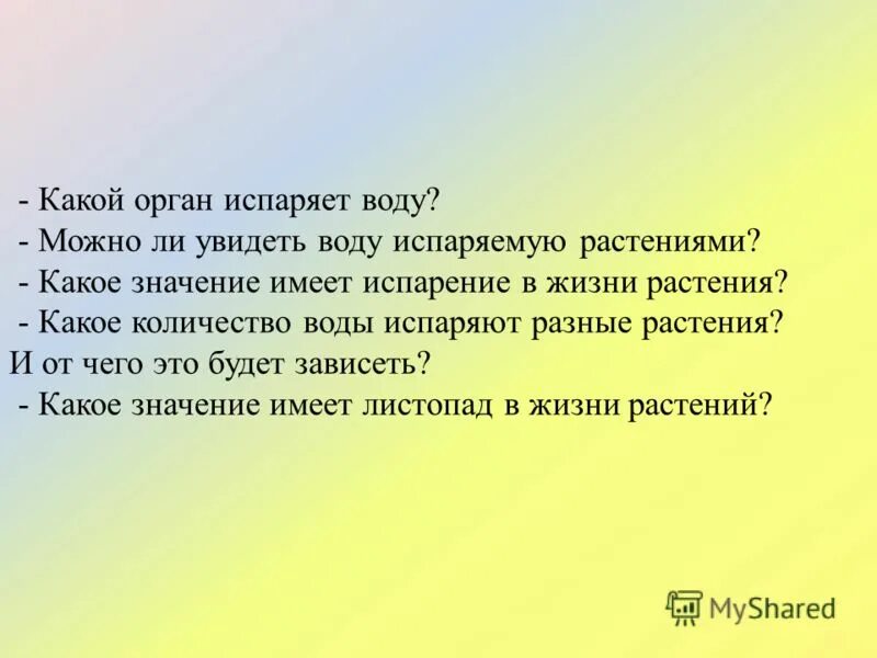 Какое значение имеет испарение в жизни растений?. Транспирация испарение воды. Опыт испарение воды листьями 6 класс. Транспирация физиология растений. Испарение воды листьями растений.