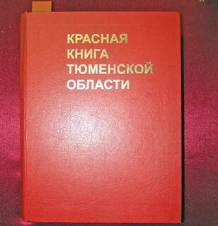 Обл книга