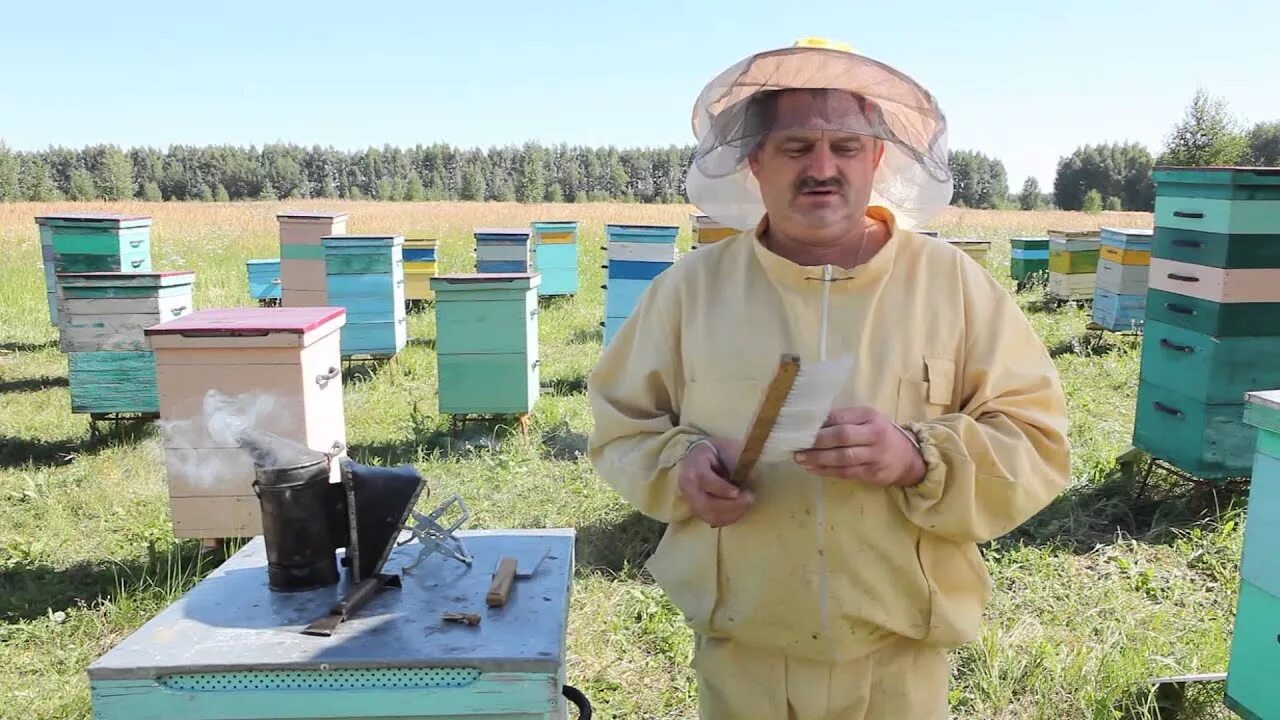 Видео пчеловодство новинки. Инвентарь пчеловода. Пчеловодство для начинающих. Инвентарь для ухода за пчелами. Начинающий пчеловод.