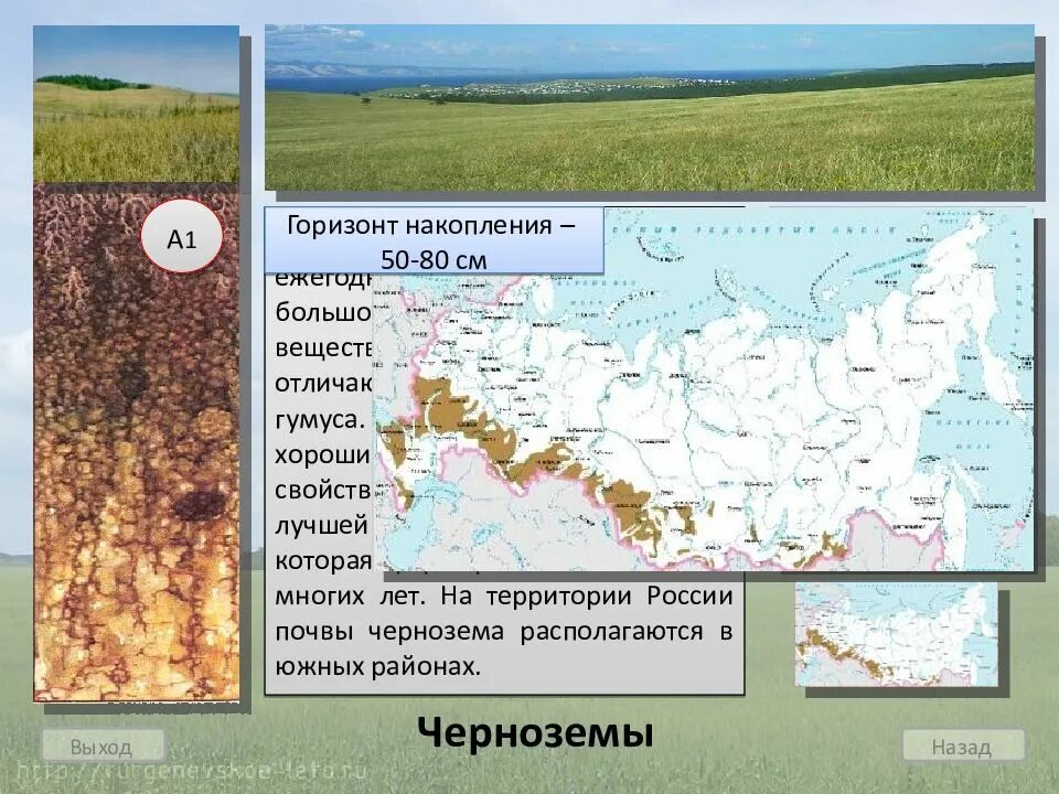 Почвы россии 4 класс 21 век презентация. Горизонт накопления. Горизонт накопления почвы. Характеристика почвы горизонта накопления. Горизонты почвы Красноярского края.