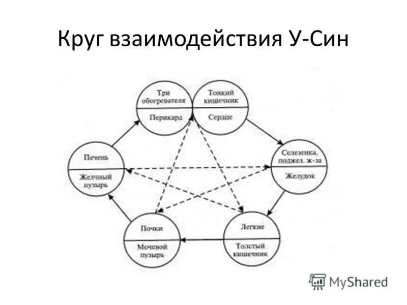 7 кругов отношений