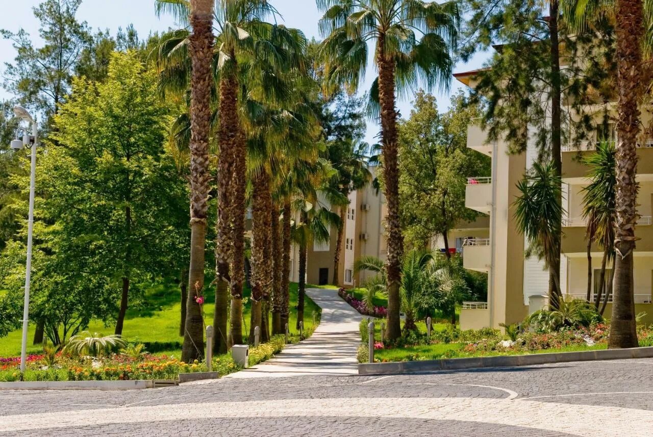 Club hotel sidelya hv2 4 сиде. Club hotel sidelya hv2 4 сиде. Club hotel sidelya 4 сиде. Club hotel sidelya hv-2 (чолаклы). Club hotel sidelya hv-2 (чолаклы).