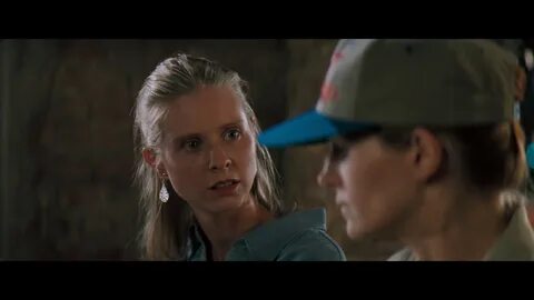 Дело о пеликанах 1993