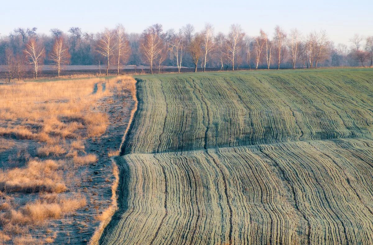 Поле весной картинки. Пашня. Поле весной. Поле пашня. Пашня весной.