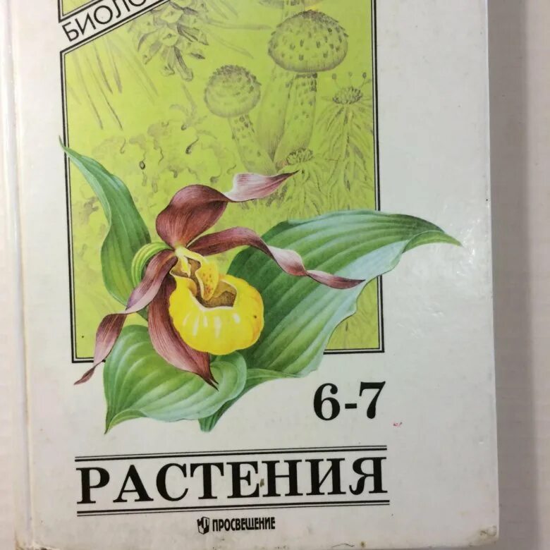 Биология растения 6- 7 класс Серебрякова. Учебник ботаника 6 класс Серебрякова. Растения Серебрякова Еленевский. Биология растения книга.