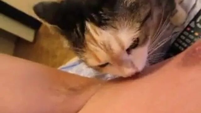 Покажи Киску Секс