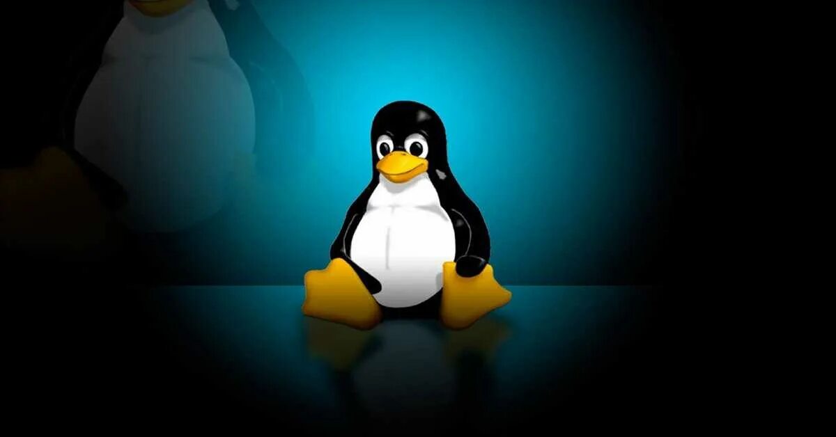 Linux владелец. Linux владелец