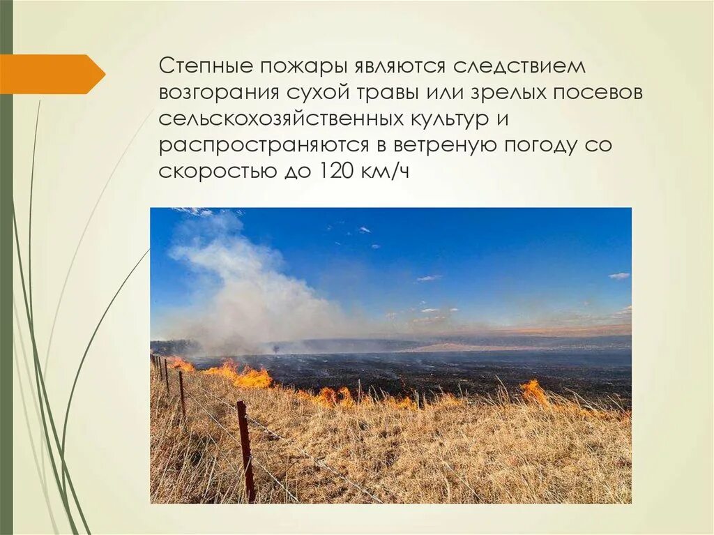 Что происходит при степном пожаре