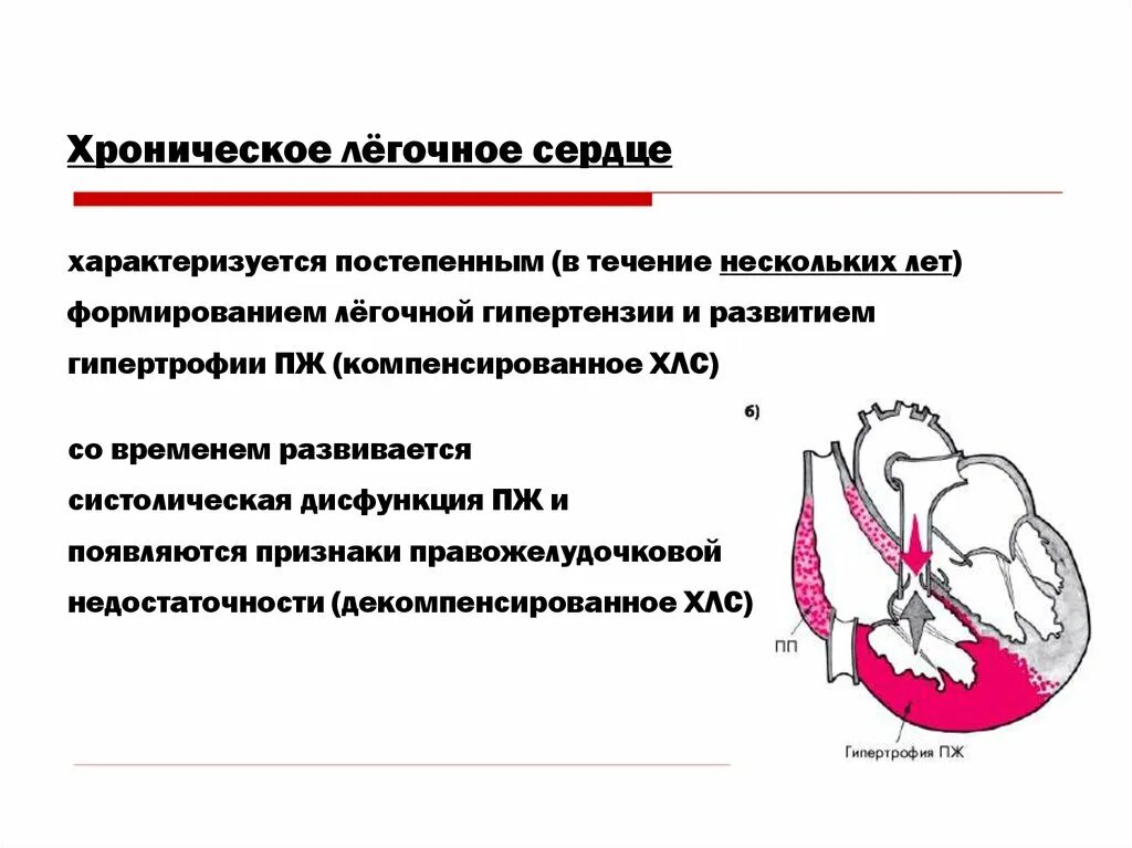 Хроническая легочно сердечная недостаточность. Механизмы формирования легочно-сердечной недостаточности. Причины развития хронического легочного сердца. Хроническое легочное сердце осложнения. Острое легочное сердце механизм.