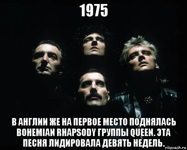 Девять недель песня. Богемская рапсодия мемы. Группа Queen приколы. Цитаты про группу Queen. Группа Квин мемы.