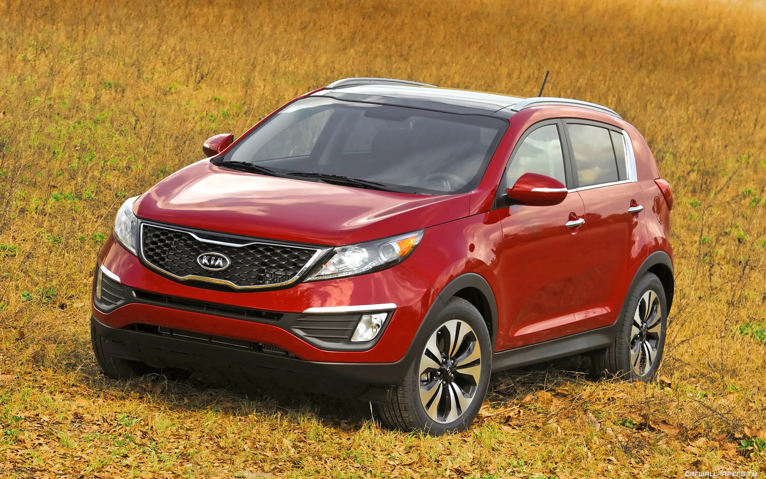 Kia sportage 2015. киа спортейдж 6. Kia sportage 3g drive. Kia sportage sl. Kia sportage 2015.