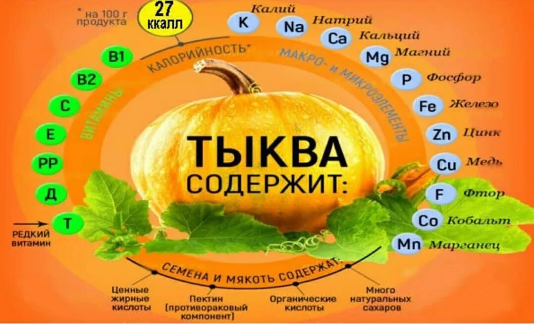 Как тыква влияет. Тыква витамины. витамины содержащиеся в тыкве. полезные витамины в тыкве. чем полезна тыква.