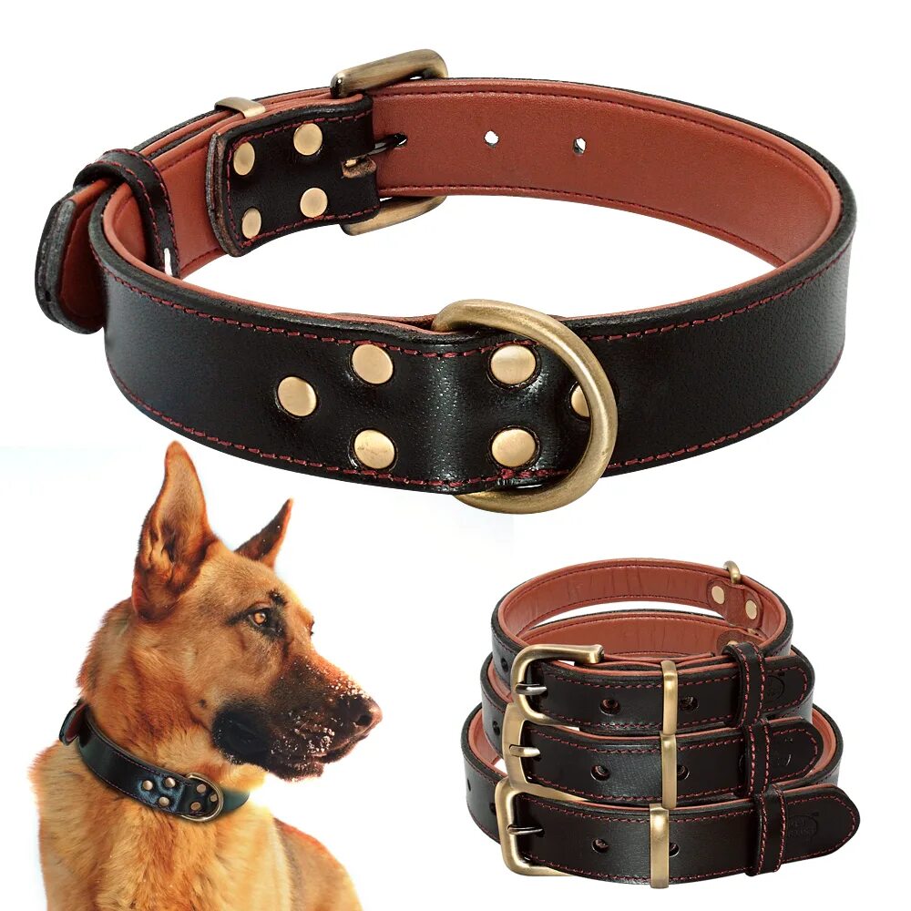 Ошейник из кожи выкройки Ошейник Collar 3465 XS 26-32см (2958874) Скидка выгодно купить. Низкая цена, ски