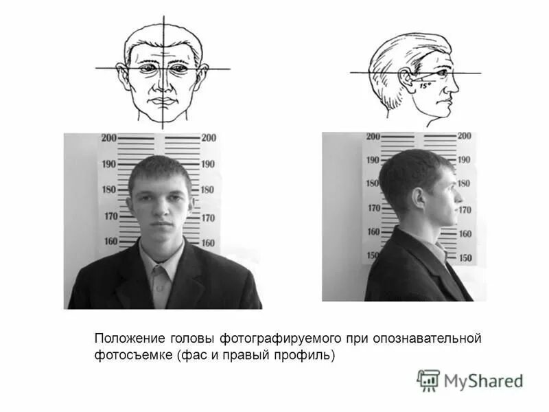 Нейтральное положение головы. Наклон головы психология. Наклон головы жест. Нейтральное положение головы. Нейтральное положение головы.