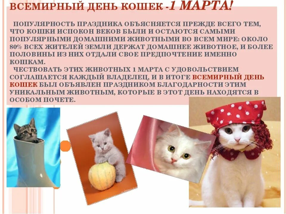 День кошек сценарий мероприятия