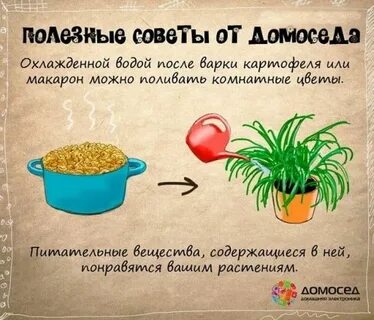 Советы которые помогут в жизни