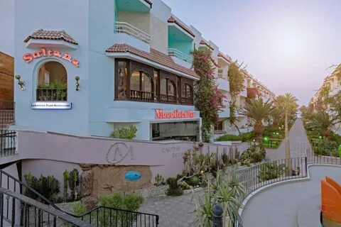 Хургада minamark resort spa 4 отзывы