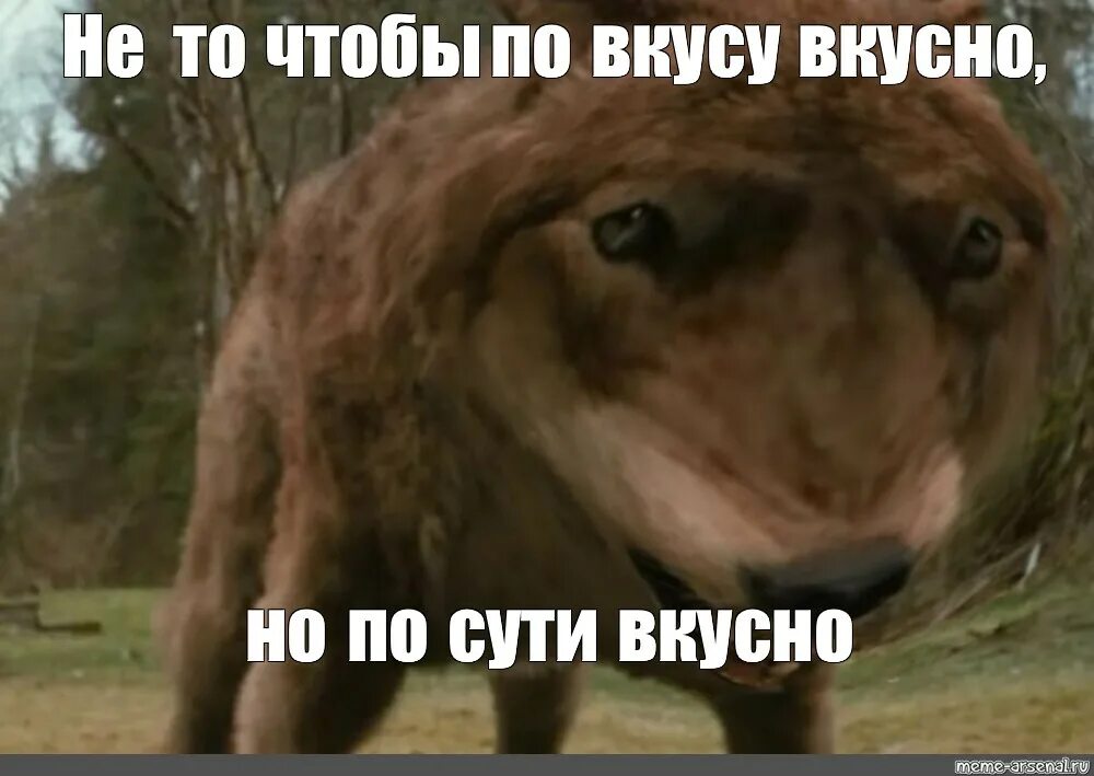 Не то чтобы. Мем по сути вкусно по вкусу вкусно. не по вкусу вкусно а по сути вкусно. не то чтобы по вкусу вкусно но по сути вкусно мем. ну не по вкусу вкусно а по сути вкусно.