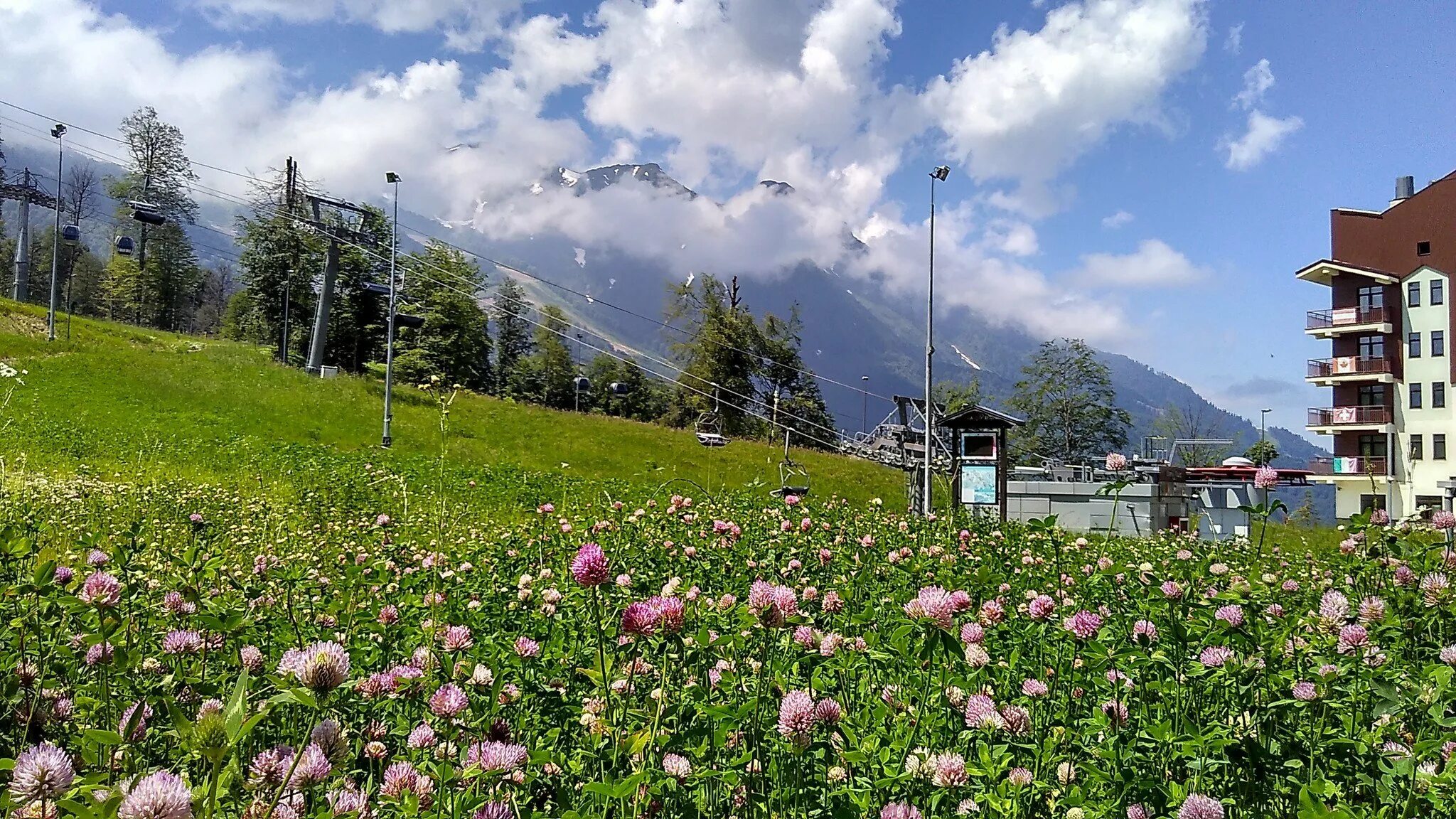 красная поляна весной