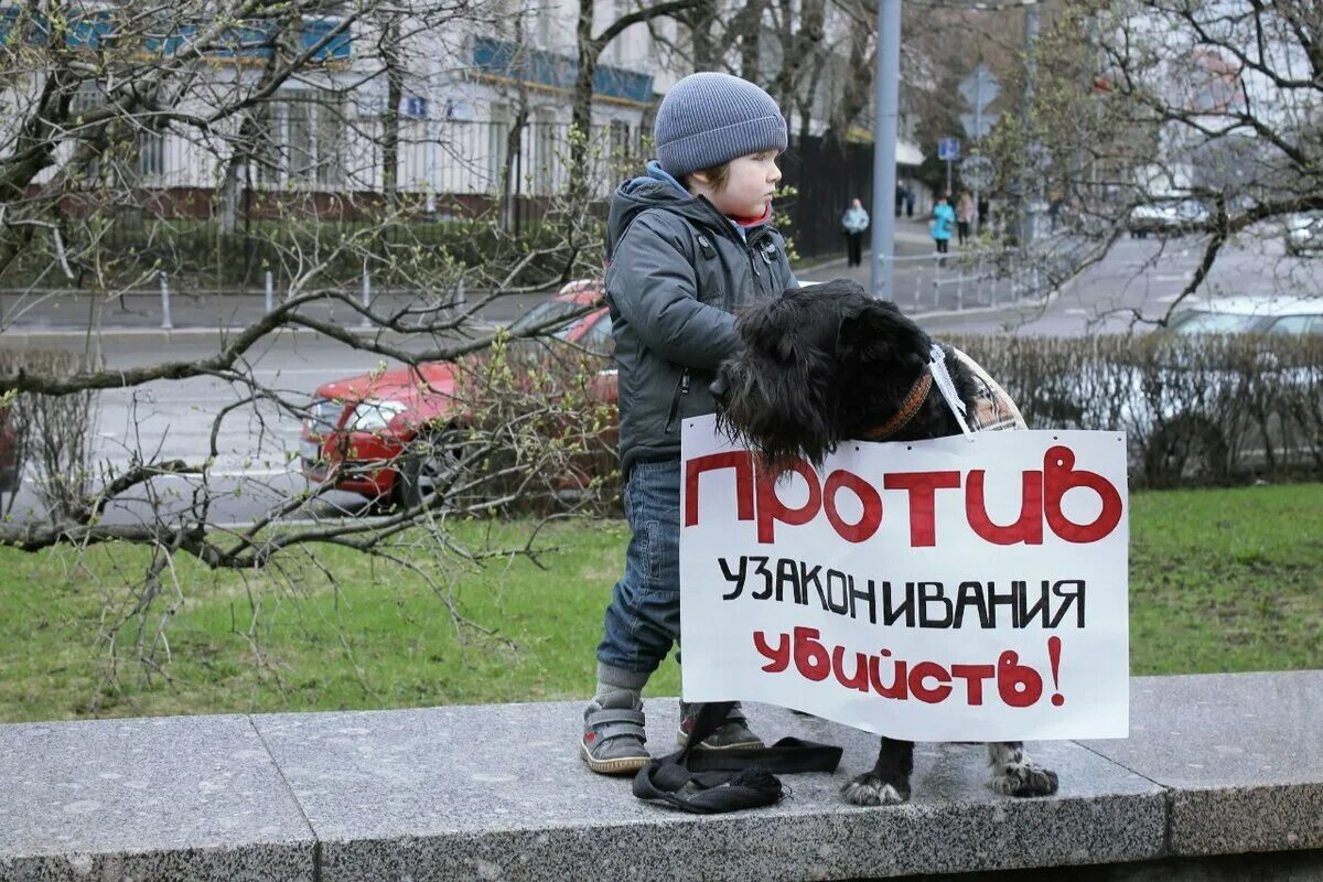 Против убийств животных. Гуманное отношение к животным. Защита животных. Усыпление бездомных животных.