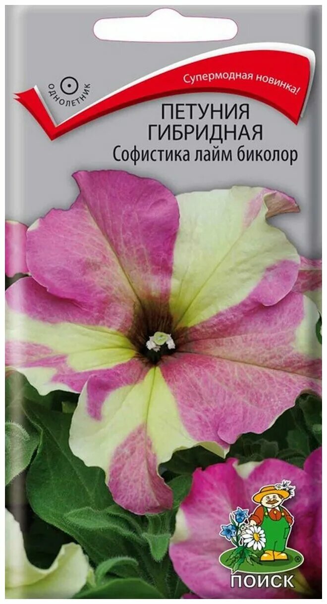 Петуния грин лайм софистика лайм. Петуния грандифлора софистика лайм грин. Софистика лайм отзывы. Алтай. Петуния гибридная софистика блекберри энд лайм грин.