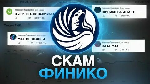 Финико пирамида финансовая последние новости