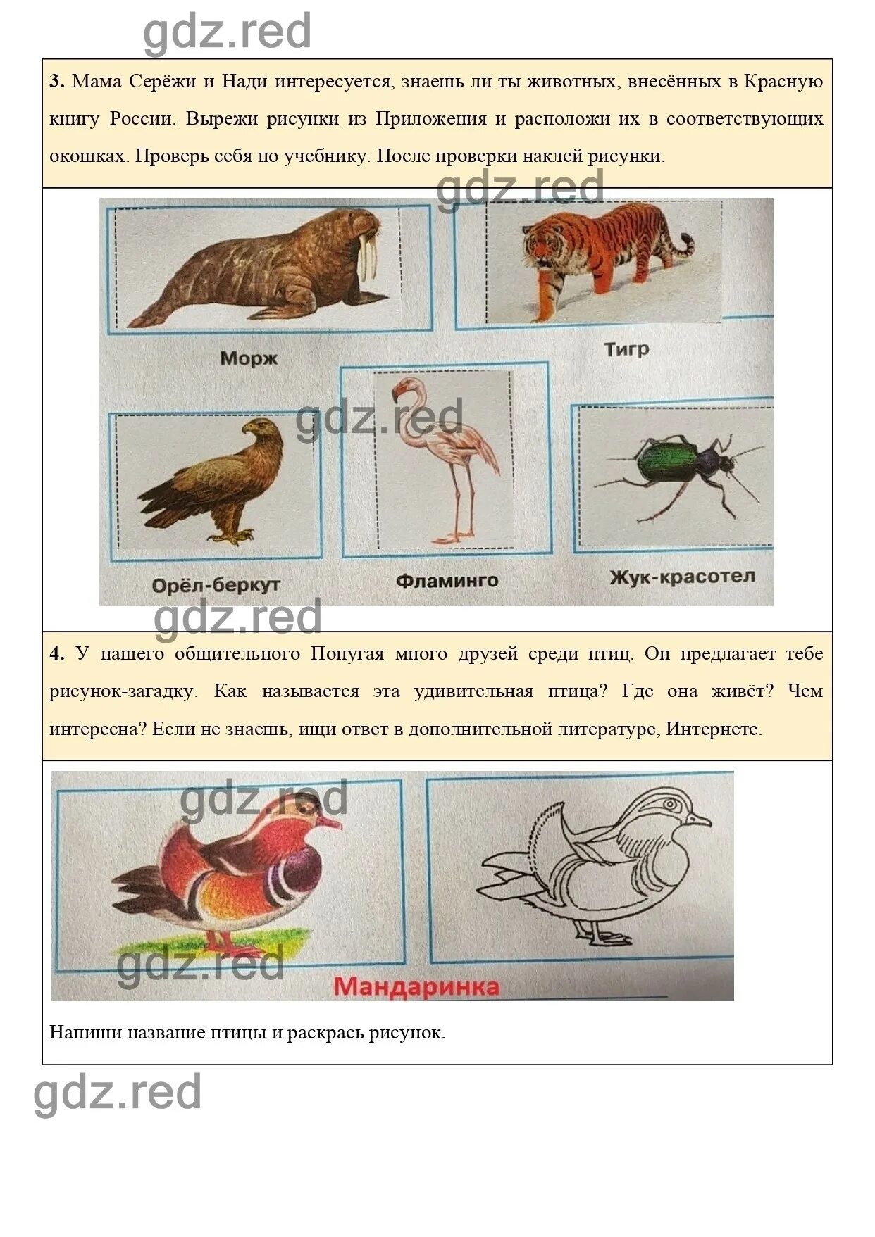 Разнообразие животных 3 класс рабочая тетрадь ответы. Окружающий мир 3 класс рабочая тетрадь стр 62. окружающий мир 3 класс рабочая тетрадь 1 часть стр 62. гдз по окружающему миру 3 класс рабочая тетрадь стр 62. домашнее задание по окружающему миру.
