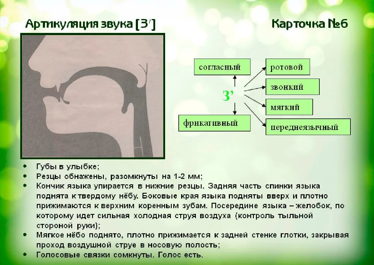 Артикуляция звука с. Артикуляционный уклад звука с. Профиль звукк с. Профили артикуляции звуков. Артикуляция ц