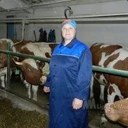 Сколько зарабатывают доярки. Липецкие доярки.